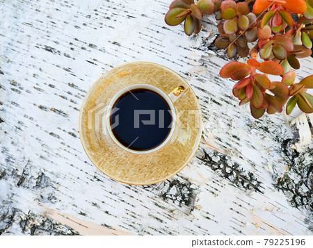 Cup of coffee and red Money Tree Crassula ovata on birch bark wooden background, summer flatlay. Top view. 79225196