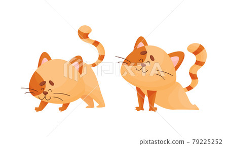 Cartoon Cat with Striped Tail Standing in Yoga Pose Vector Set 79225252