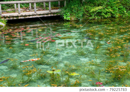 岐阜縣關市莫奈池 79225783