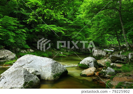 岩手縣遠野市新綠重端谷 岩手縣遠野市新綠重端谷 79225902