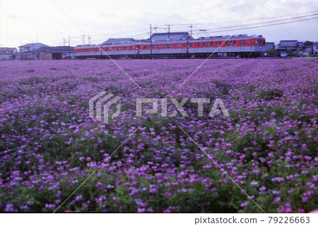 Kobe Electric Railway 1350 series Memorial Train Kobe Electric Railway 1350 series Memorial Train 79226663
