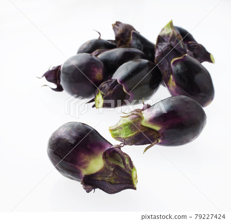 Small eggplant studio shot Small eggplant studio shot 79227424