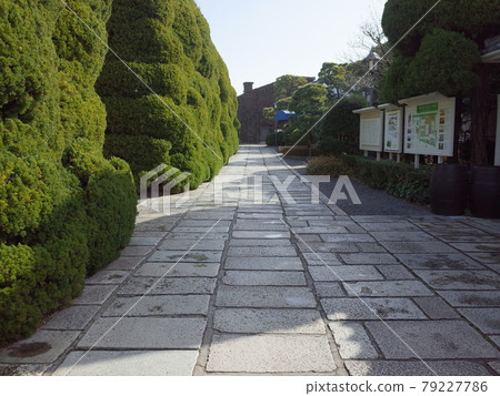 倉敷常春藤廣場 倉敷常春藤廣場 79227786