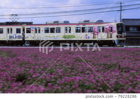 Kobe Electric Railway 5000 series Fun 79228286