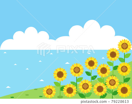 想像向日葵和大海的夏天的插圖 79228613