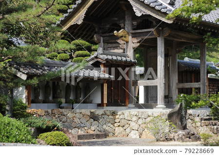 9月，濱松市北區稻佐町井平町長光寺 79228669