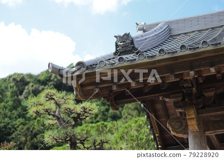 9月，濱松市北區稻佐町井平町長光寺 79228920