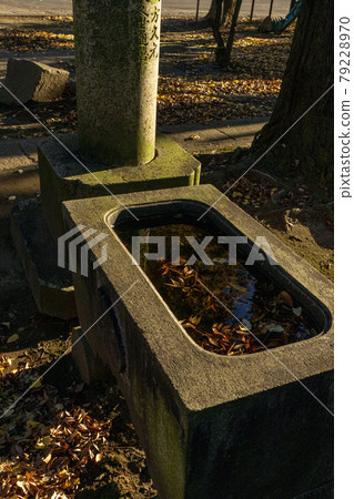 Gokokuji Temple with autumn leaves floating in a chozubachi 79228970