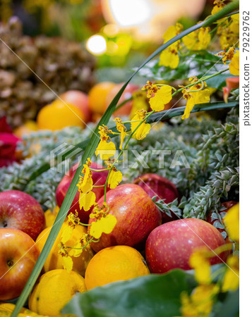 Close up shot of Oncidium flexuosum and apple, oranges Close up shot of Oncidium flexuosum and apple, oranges 79229762
