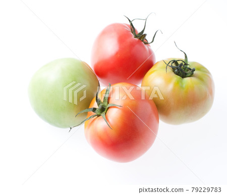Colorful tomato image white background Colorful tomato image white background 79229783