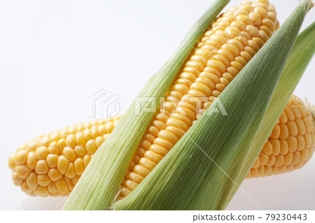 Corn image studio shot Corn image studio shot 79230443