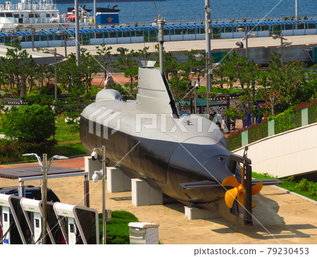 韓國海軍海豚級潛水艇 韓國海軍海豚級潛水艇 79230453