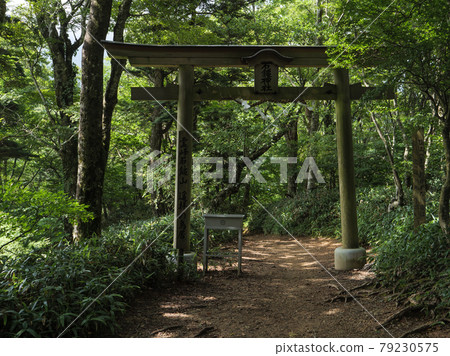 Torii on the mountain trail on the ropeway side of Mt. Ishizuchi 79230575