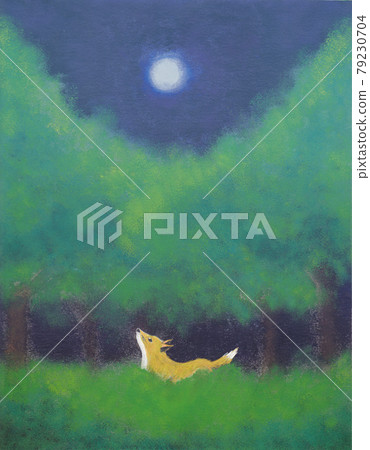 森林狐狸 79230704