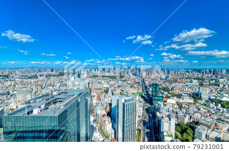 Tokyo scenery: The city center seen from Shibuya 79231001