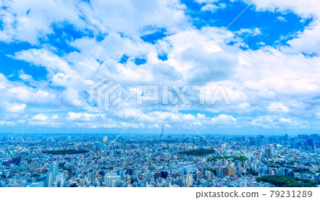 東京風景夏天 79231289