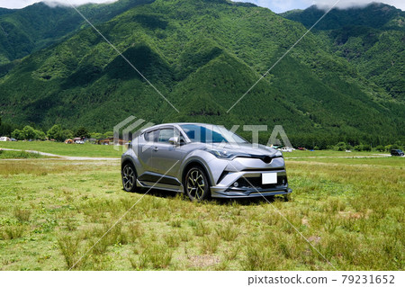 Silver SUV and campsite 79231652