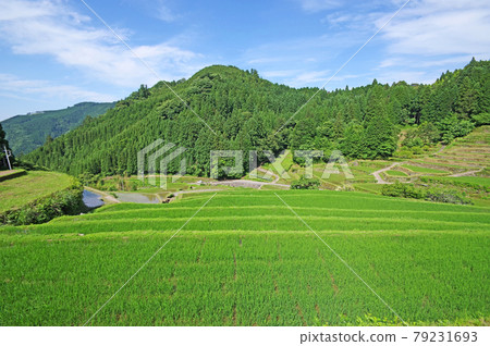 100選福岡縣浮波市的日本梯田 都津梯田風景 100選福岡縣浮波市的日本梯田 都津梯田風景 79231693