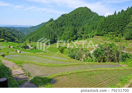 100 selections of rice terraces in Japan Scenery of Tsuzura rice terraces in Ukiha City, Fukuoka Prefecture 100 selections of rice terraces in Japan Scenery of Tsuzura rice terraces in Ukiha City, Fukuoka Prefecture 79231700