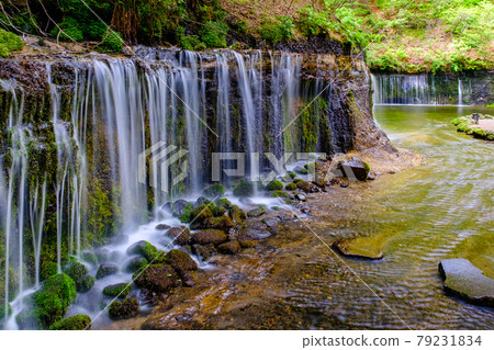 Shiraito Falls (Karuizawa) Shiraito Falls (Karuizawa) 79231834