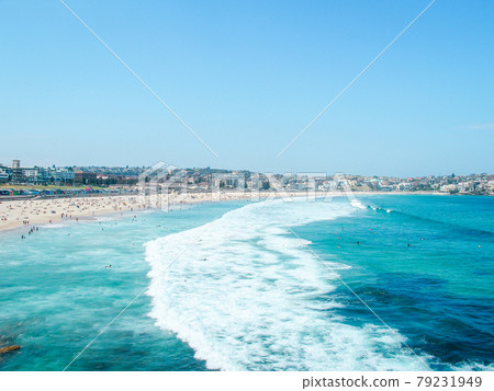 Bondi beach in summer 79231949