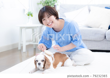 Young woman brushing her dog Young woman brushing her dog 79232365