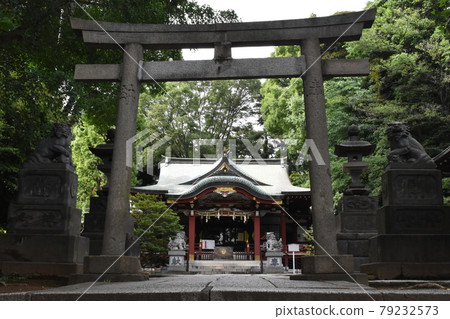 Nakano Hikawa Shrine, Nakano-ku, Tokyo 79232573