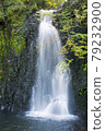 Kokonoe Monkey Waterfall 79232900