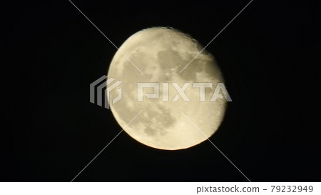滿月 滿月 79232949