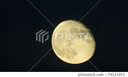 滿月 滿月 79232951