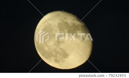 滿月 滿月 79232953