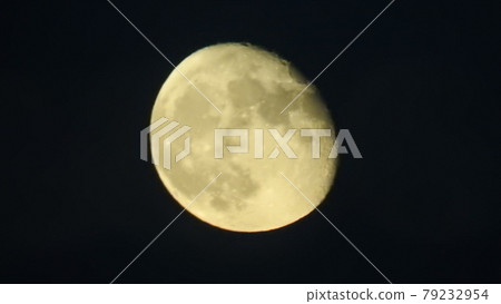 滿月 79232954