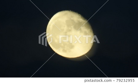 滿月 79232955