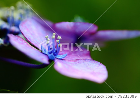 It gets wet when it rains 79233399