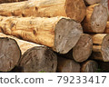 Where is the whereabouts of wood 79233417