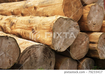 Where is the whereabouts of wood Where is the whereabouts of wood 79233417