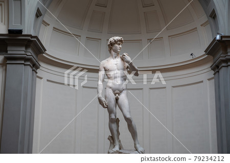 Panoramic view of hall with sculpture is David by Italian artist Michelangelo Panoramic view of hall with sculpture is David by Italian artist Michelangelo 79234212