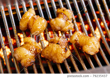 荷爾蒙肉 79235437