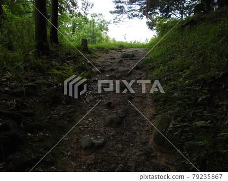 山邊小路 79235867