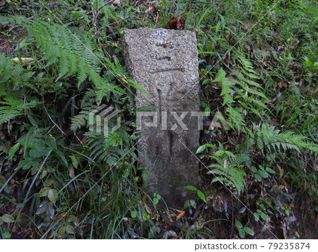 Mountain side road Mountain side road 79235874