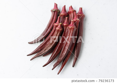 Red okra of summer vegetables 79236173