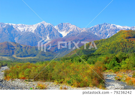 Beautiful Northern Alps Part 2107: Autumn leaves in Shinshu Part 2107: Hakuba Village in autumn colors 79236242