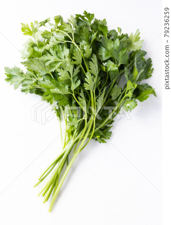 新鮮的意大利歐芹 79236259