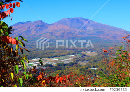 Beautiful Mt. Asama 2107: Shikishi woven by mountains and rivers 2107: Mt. Asama in autumn colors 79236583