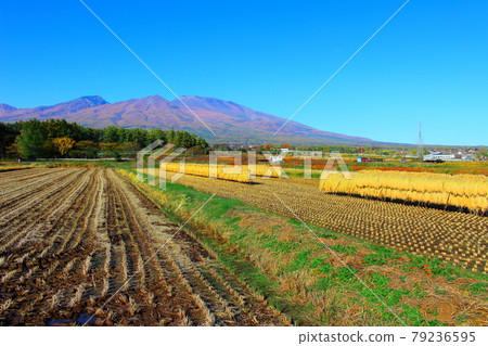 Beautiful Mt. Asama 2107: Shikishi woven by mountains and rivers 2107: Mt. Asama in autumn colors 79236595