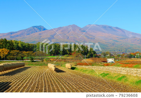 Beautiful Mt. Asama 2107: Shikishi woven by mountains and rivers 2107: Mt. Asama in autumn colors 79236608
