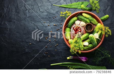 Homemade cucumber pickling and ingredients,copy space 79236646