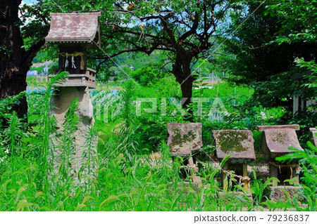 古神社石碑2107 古神社石碑2107 79236837