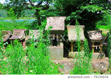 古神社石碑2107 古神社石碑2107 79236838