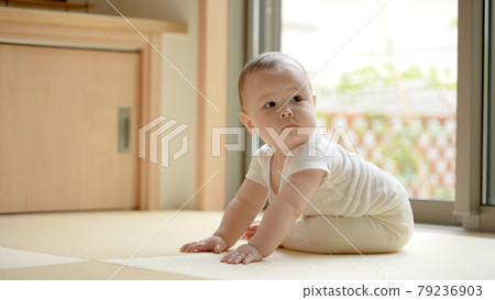 半個嬰兒坐在窗邊抬頭 79236903